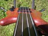 2_880.jpg