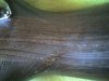dsc00175_148.jpg