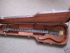 warwick_streamer_572.jpg