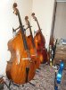 basses_1_193.jpg