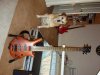 new_warwick_2_273.jpg