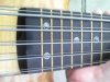 2bass4-1.JPG 2bass4-1.JPG