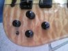 2bass5-1.JPG 2bass5-1.JPG