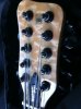 streamer headstock.jpg streamer headstock.jpg