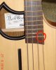 Alien fret.jpg Alien fret.jpg
