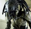 alien.jpg alien.jpg
