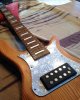 Pickguard and inlays.jpg