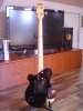 Pignose Bass 004.jpg