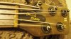 thumb bass 020.jpg