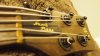 thumb bass 024.jpg
