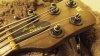 thumb bass 033.jpg