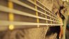 thumb bass 075.jpg