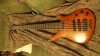 thumb bass 106.jpg