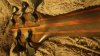 thumb bass 131.jpg