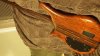 thumb bass 158.jpg