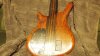 thumb bass 163.jpg