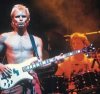 imagAux1_sting-th.jpg
