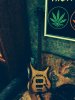Warwick Infinity NT4 Ltd (4).jpg Warwick Infinity NT4 Ltd (4).jpg