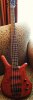 WarwickBass021609 008.JPG