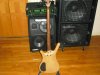 BASS 007.jpg