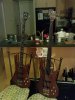 DSC00180.jpg