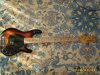 Stingray5.JPG
