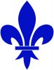 Fleur.JPG