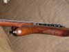 DSC00087 (Medium).JPG