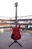 warwick-stramer-lx-koferom-strap-lock-om-slika-56058084.jpg