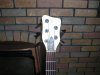westy headstock.JPG