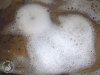 BubbleDuck16.jpg