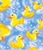 BubbleDuck2.jpg