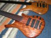 warwicks 011.jpg