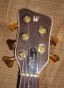 Headstock.JPG