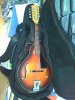 Framus Mandolin 78D 04200.jpg