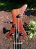 Rikkers Headstock.jpg