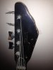 Bass02.JPG