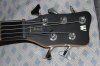 WarwickAS-Pnut04.jpg