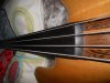 DSCN1564.jpg