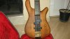 warwick 31845164.jpg