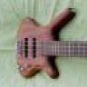 Warwick_24