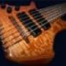 EvanOnBass