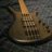 budget bassist